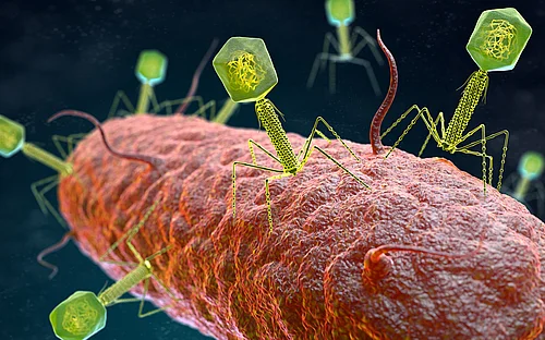 Antimicrobial agents of the future