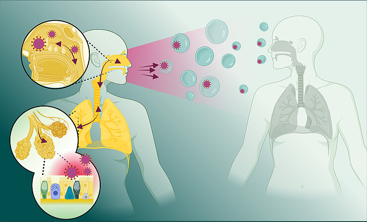 Illustration of the transmission of respiratory pathogens