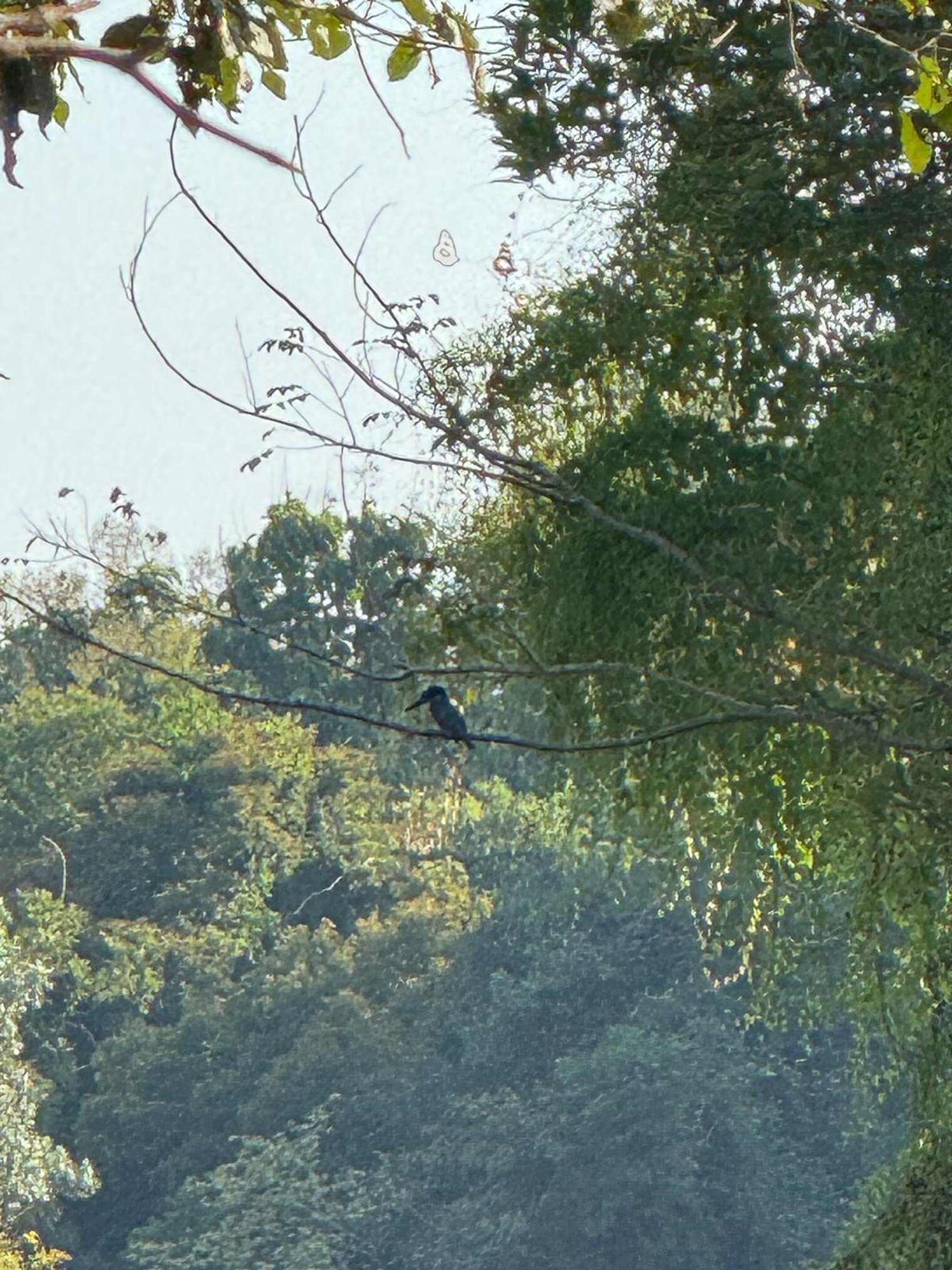 Wandern und Vogelbeobachtung nordwestlich von Bouaké