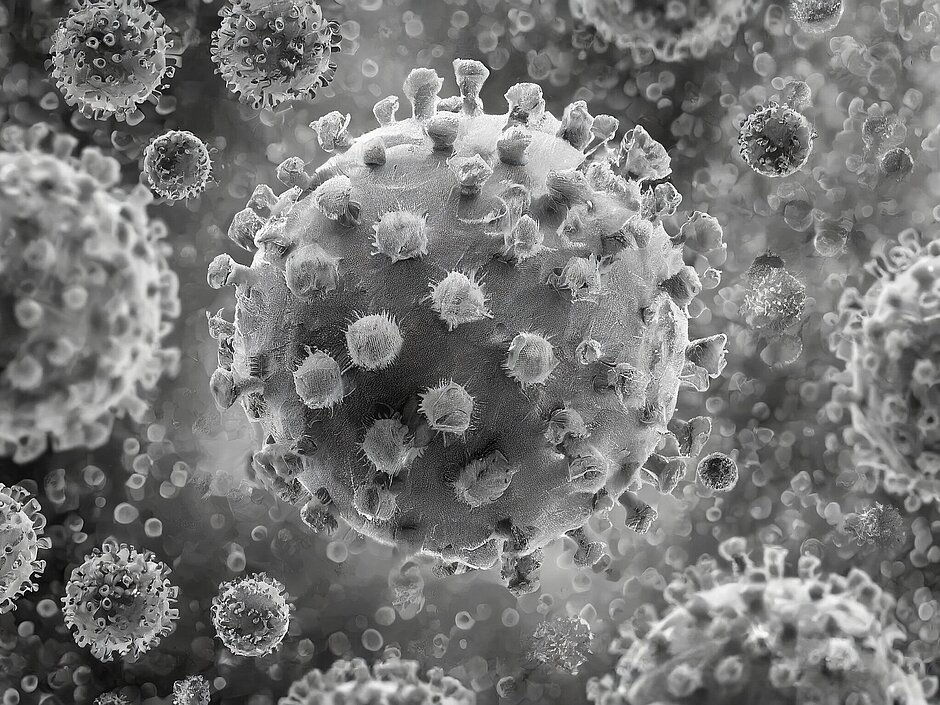 Virus