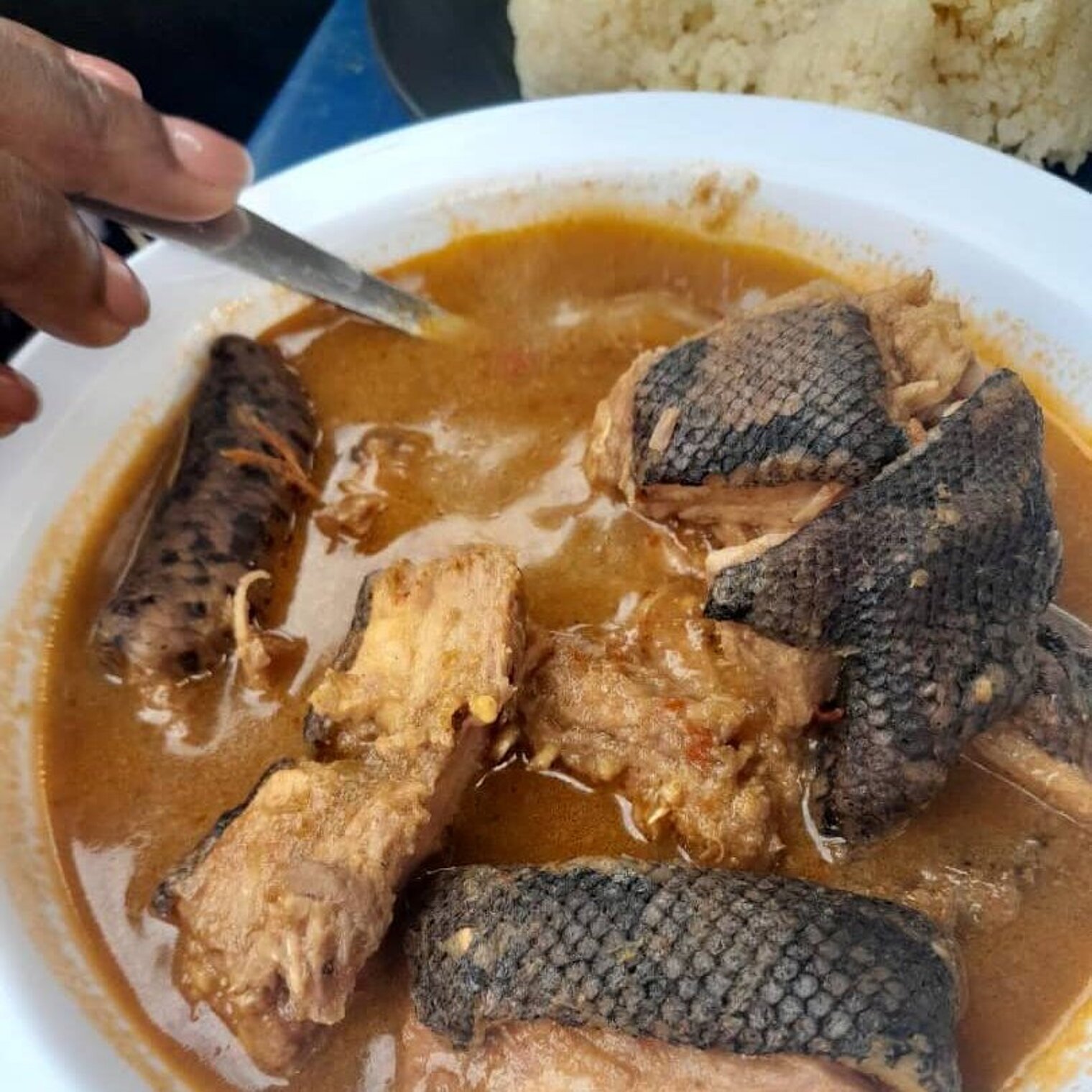 wild snake stew