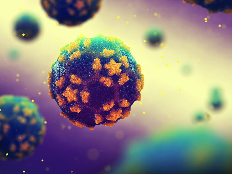 Abbildung eines Poliovirus