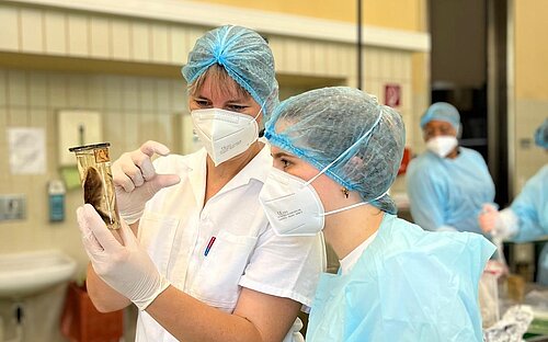 Preparing for historical specimen sampling