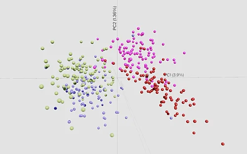 Making sense of the data jungle