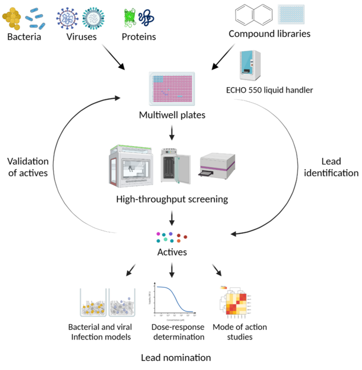 Research project overview