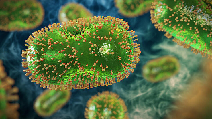 Monkeypox pathogen.