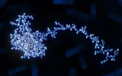 Novel insights into the metabolism of the gut microbiota