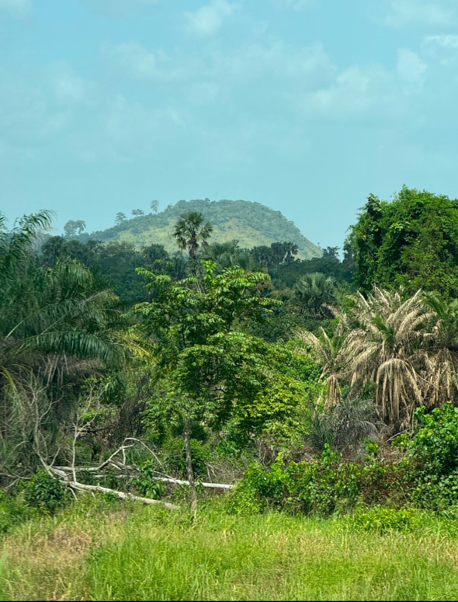 Auf dem Weg nach Bouaké