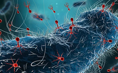 Phage research: Hacked!