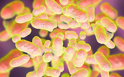Microbiome research: Small RNA plays a crucial role in colonization