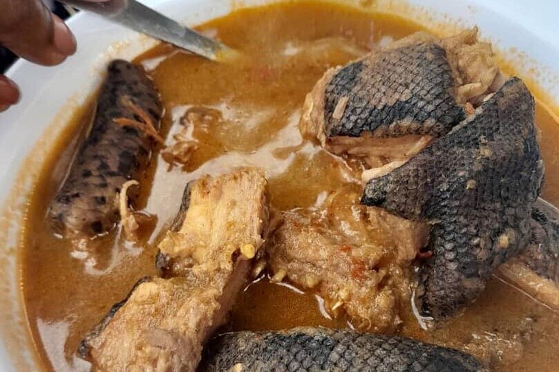 Wild snake stew