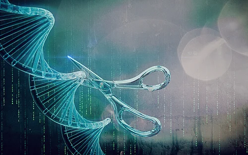 A new addition to the CRISPR toolbox: Teaching the gene scissors to detect RNA