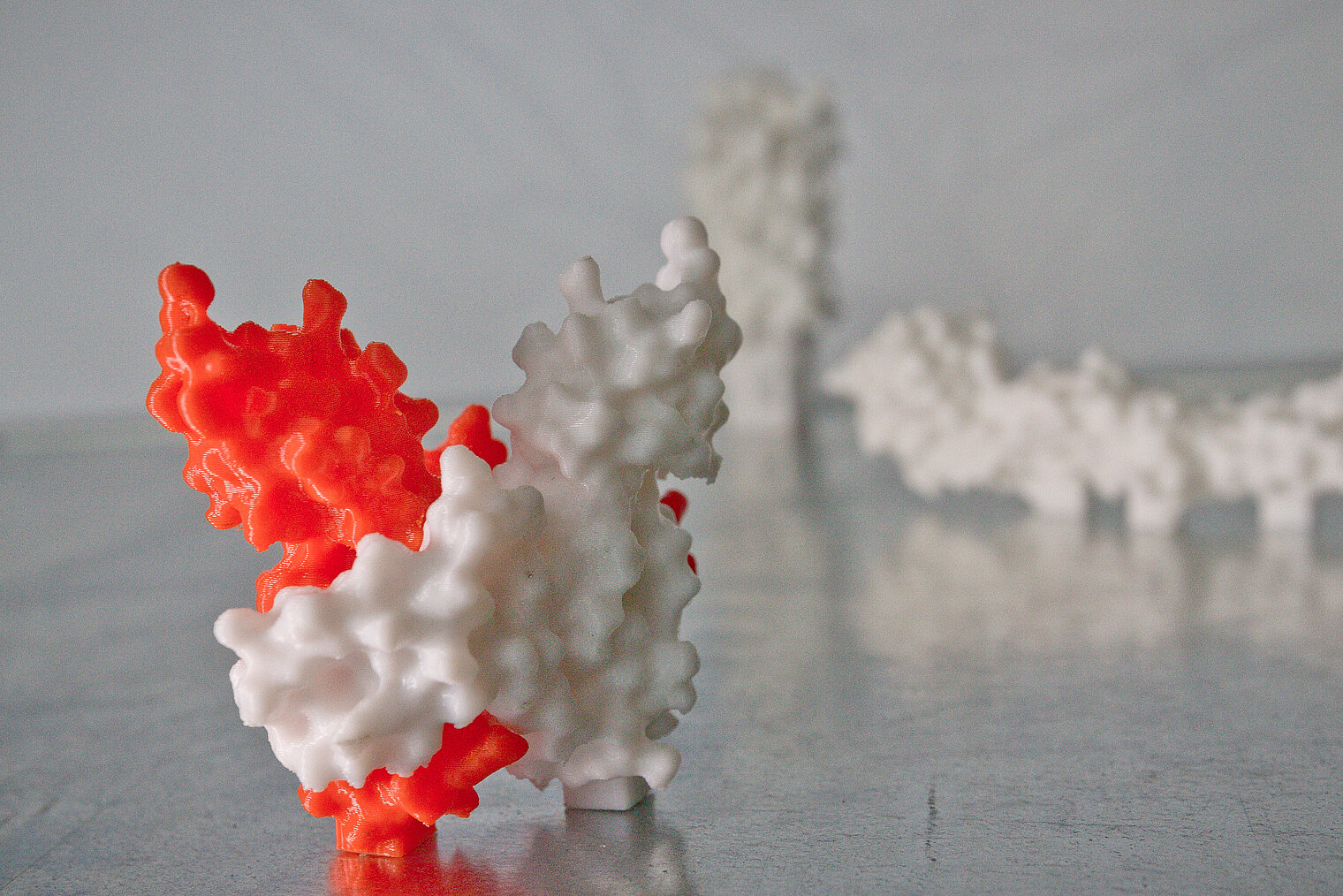 3D-Modelle von am HZI gelösten Proteinstrukturen.