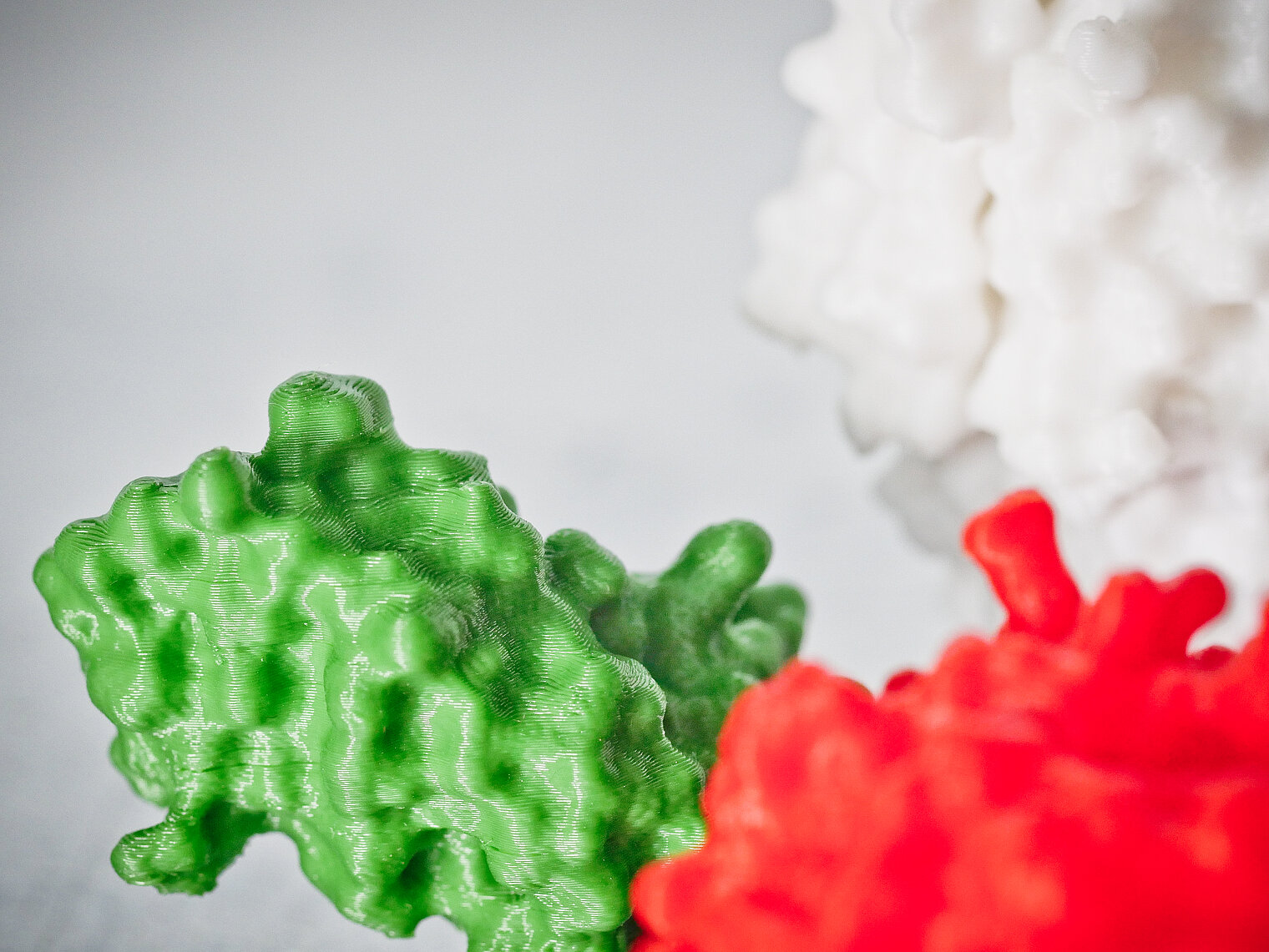 3D-Modelle von am HZI gelösten Proteinstrukturen.