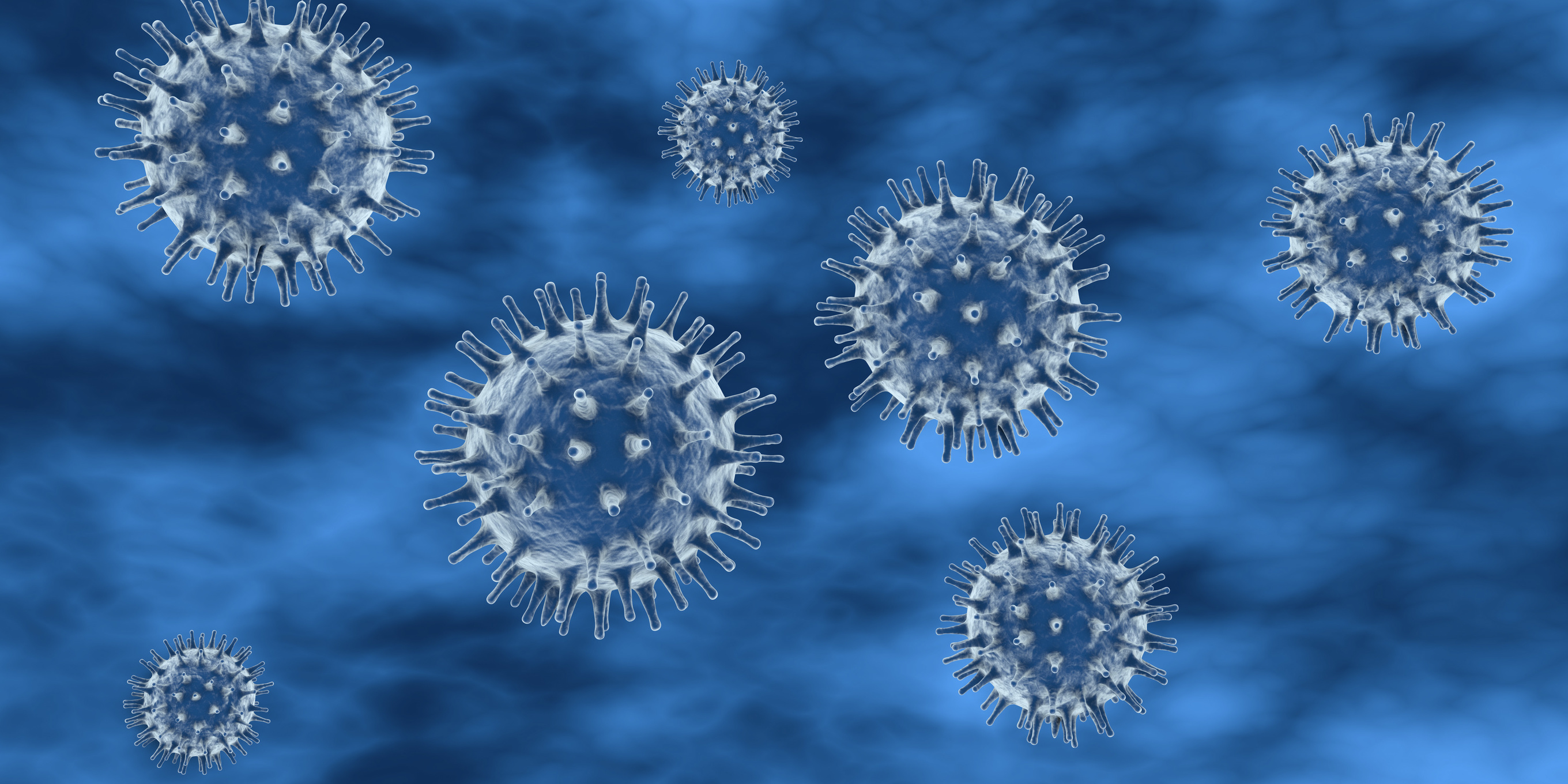 Infact illustration of hepesvirus in blue