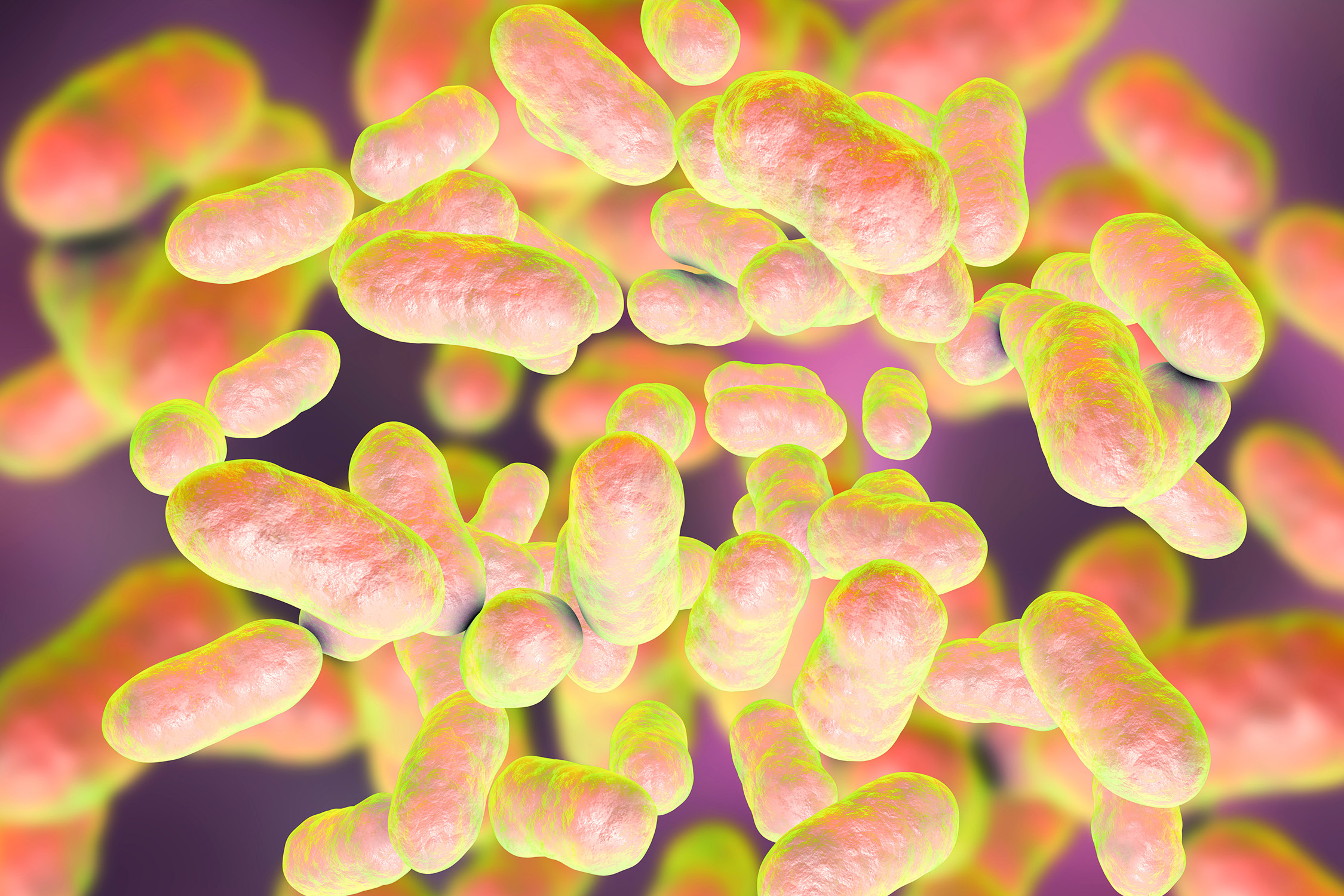 3D illustration of rod-shaped bacteria