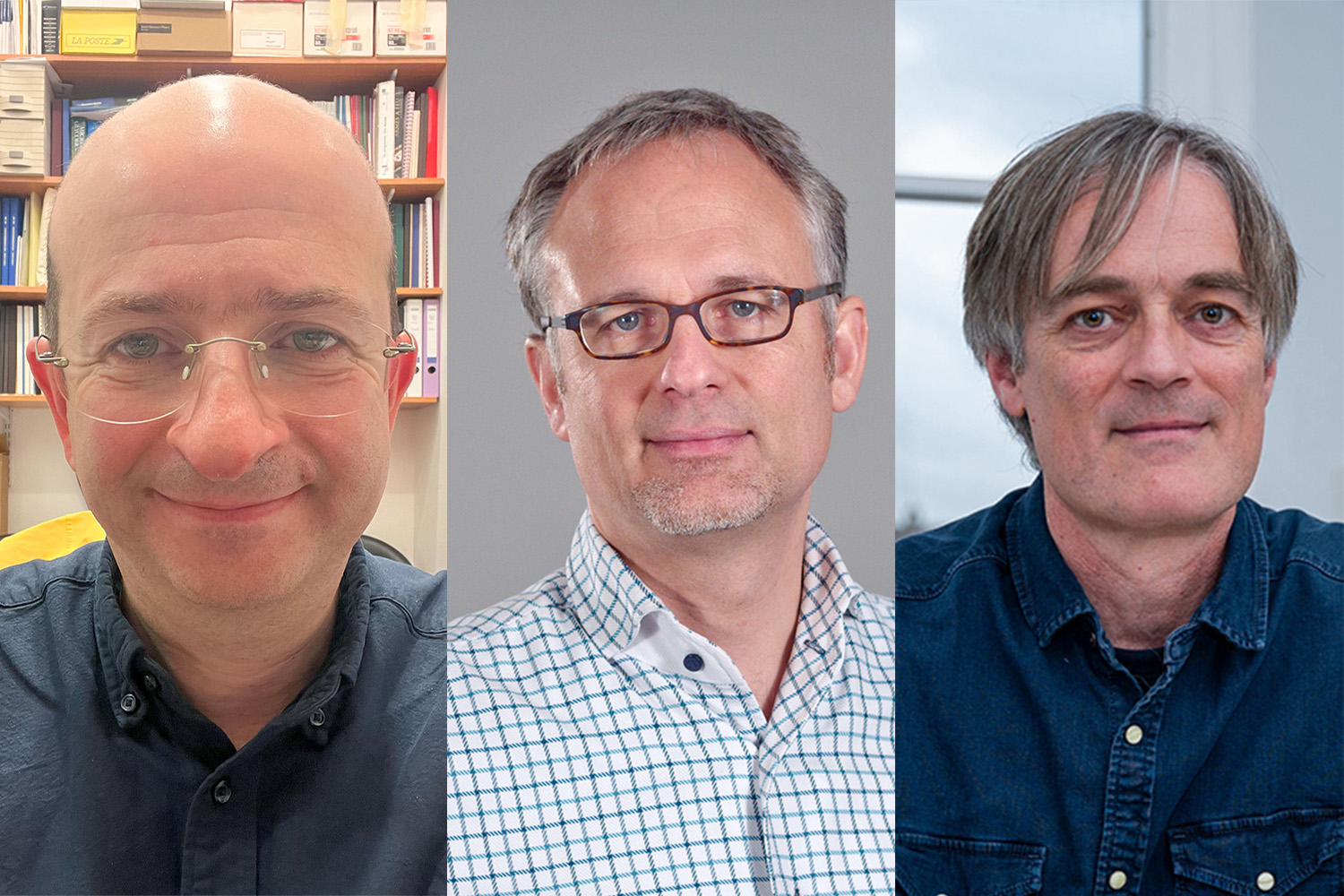 Portraits der drei Wissenschaftler