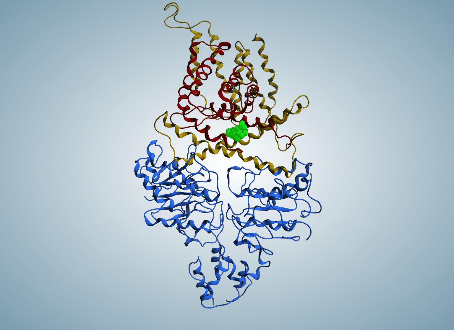 Dreidimensionale Struktur des Transportproteins ECF-T.