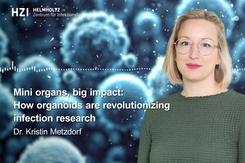 Teaser for the podcast episode with Kristin Metzdorf